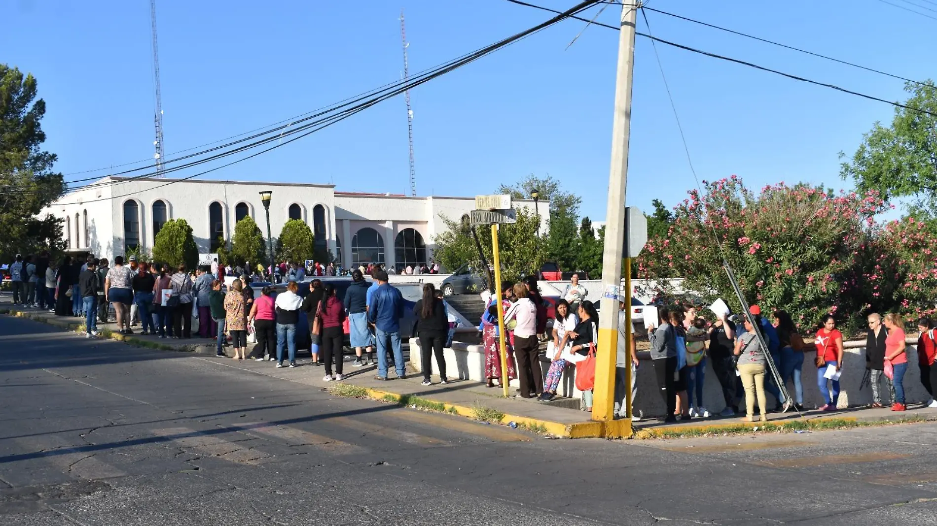 canasta solidaria